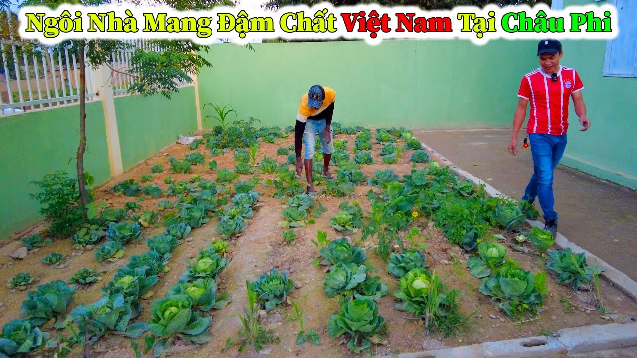 Hùng KaKa ll Ngôi Nhà Mang Đậm Chất Của Việt Nam Tại Châu Phi ?