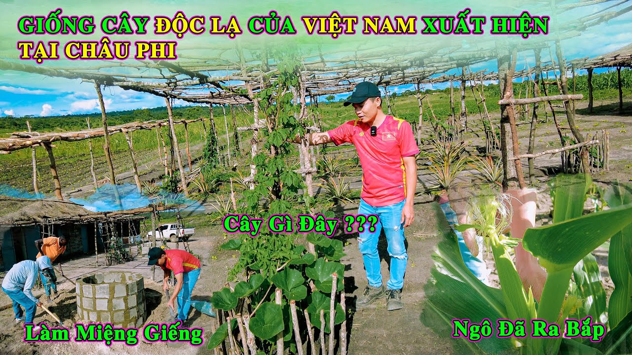 Hùng KaKa ll Đưa Nhiều Giống Cây Lạ Của Việt Nam Đến Với Vùng Đất Miền Núi Ở Châu Phi ?