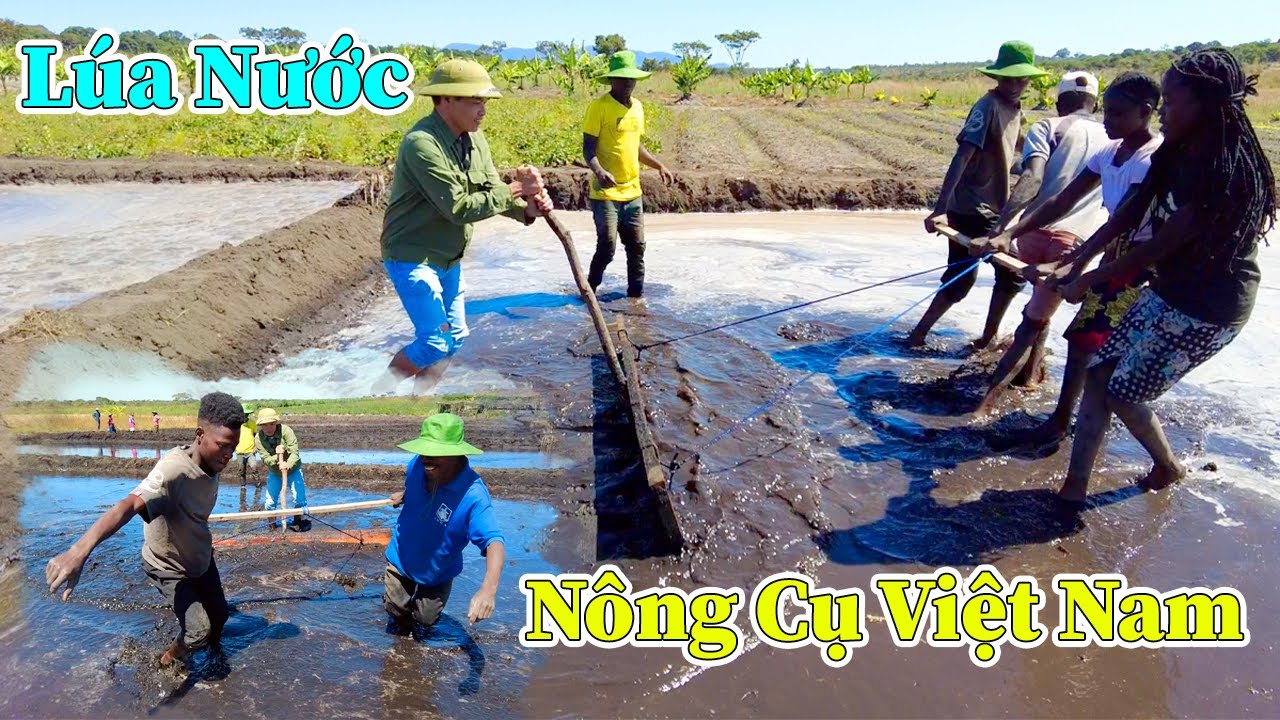 Hùng KaKa ll Đưa Nông Cụ Làm Ruộng Lúa Nước Của Việt Nam Đến Với Người Dân Bản Làng Châu Phi