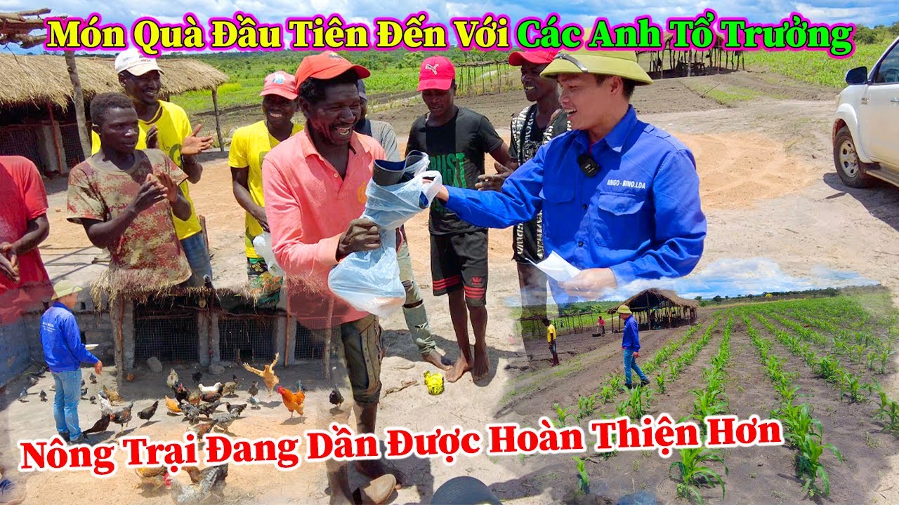 Hùng KaKa ll Nông Trại Đang Dần Được Làm Đẹp Hơn Và Món Quà Đầu Tiên Đến Với Các Anh Tổ Trưởng ?