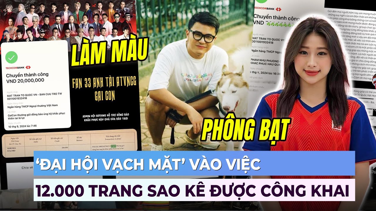 ‘ĐẠI HỘI VẠCH MẶT’ vào việc khi hơn 12 ngàn trang sao kê được công khai