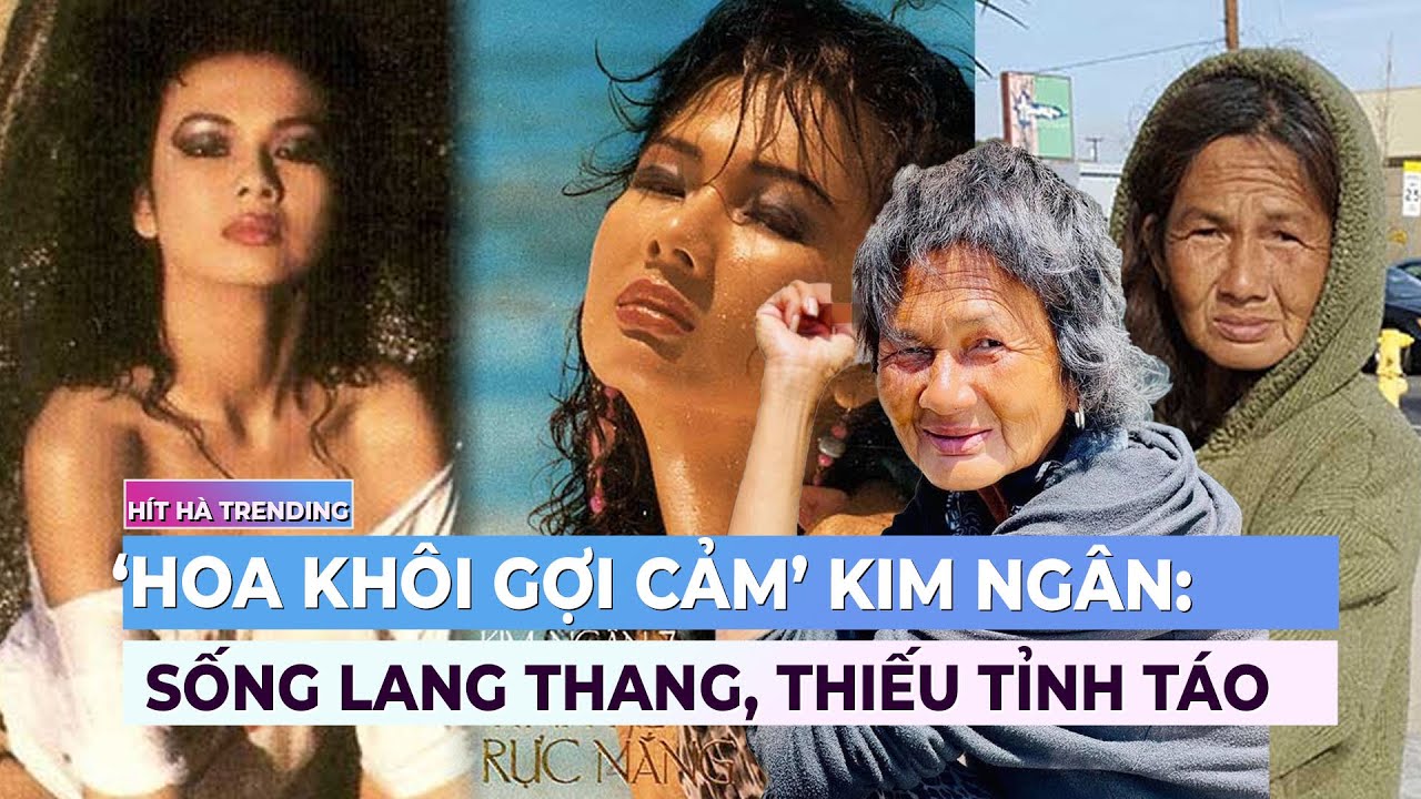 ‘Hoa khôi gợi cảm’ hải ngoại Kim Ngân: Sống lang thang, thiếu tỉnh táo