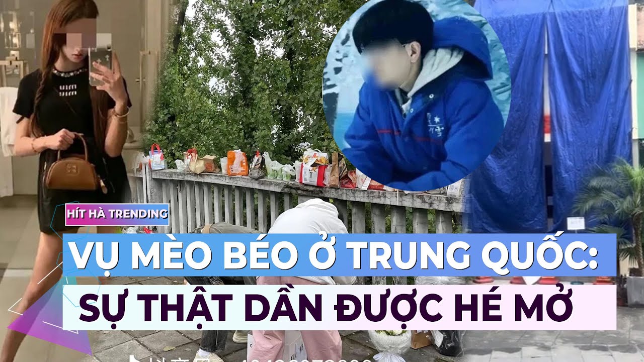 Vụ chàng trai Mèo Béo: Sự thật dần được hé mở | Ibiz