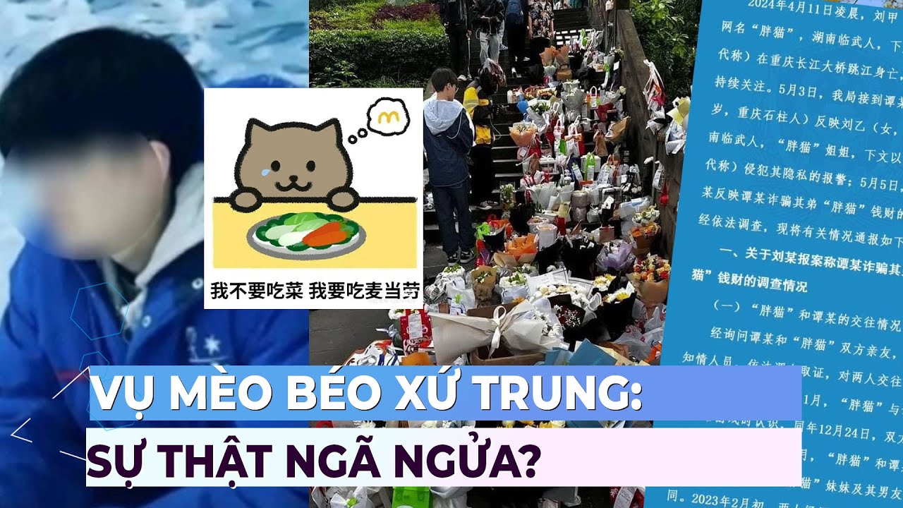 Vụ chàng trai Mèo Béo xứ Trung: Sự thật ngã ngửa? | Ibiz