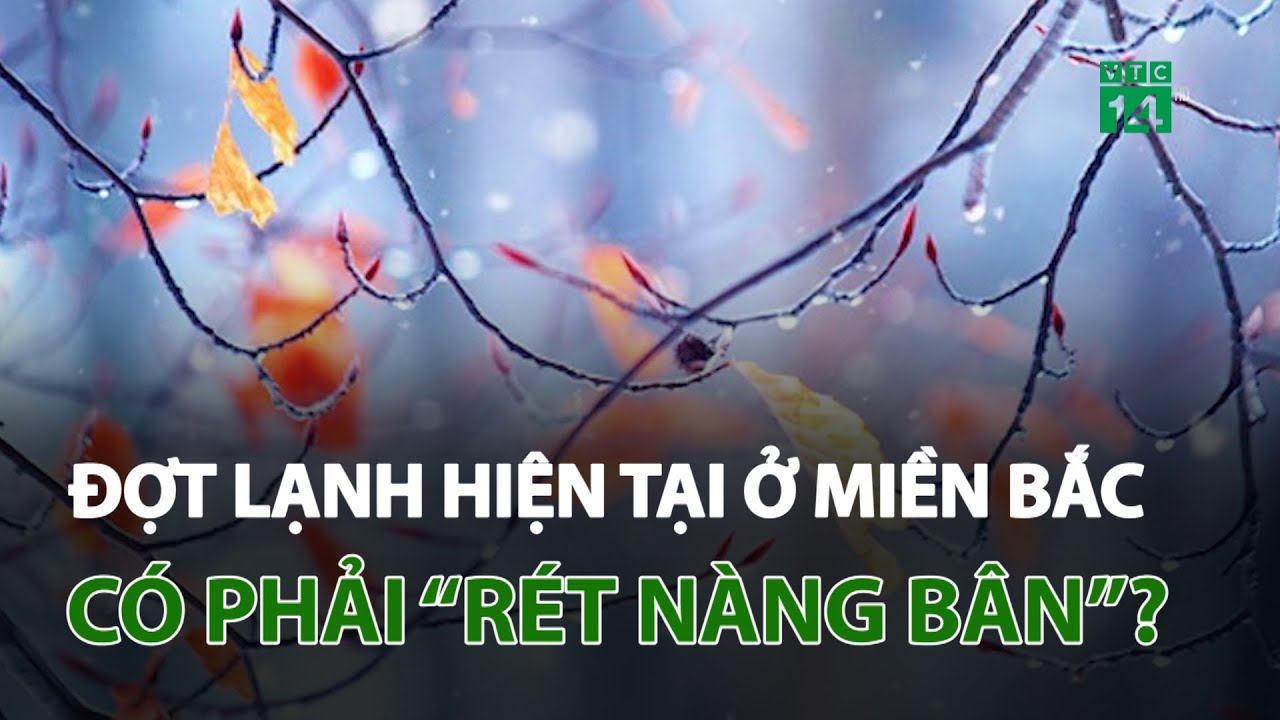 Đợt lạnh hiện tại ở miền Bắc có phải “rét nàng Bân”? | VTC14