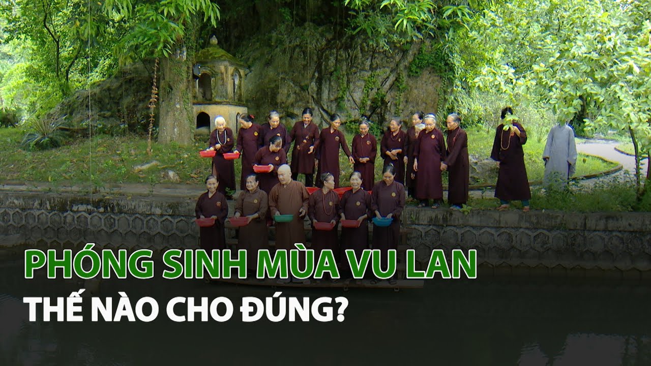 Phóng Sinh Mùa Vu Lan thế nào cho đúng?| VTC14