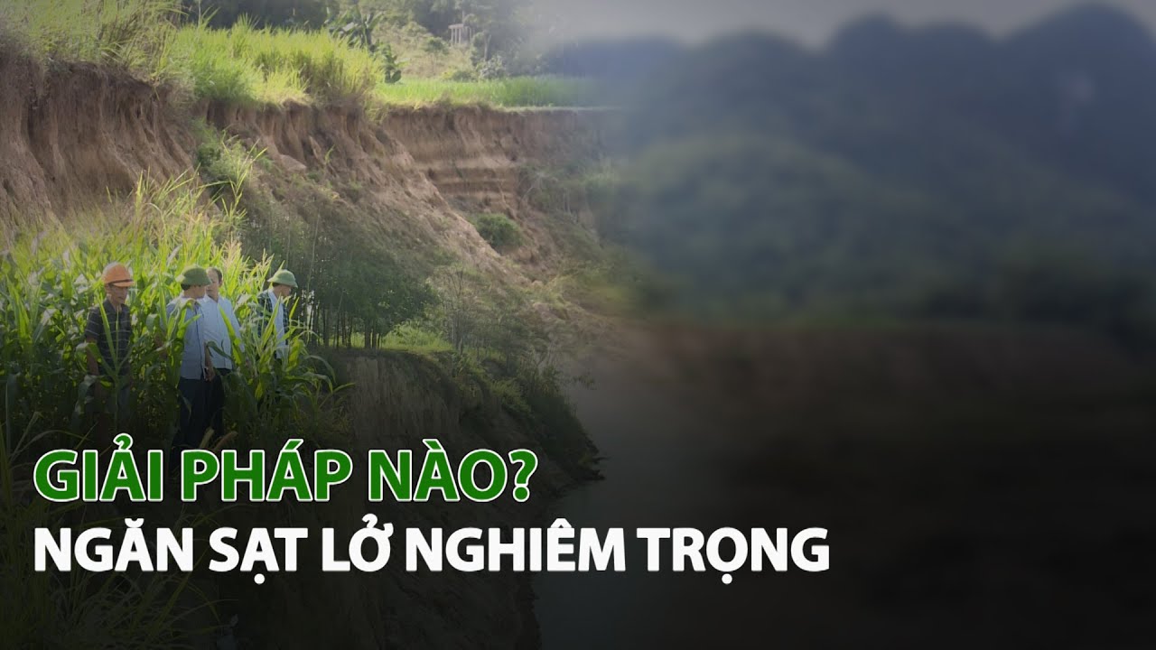 Giải pháp nào ngăn Sạt Lở nghiêm trọng?| VTC14