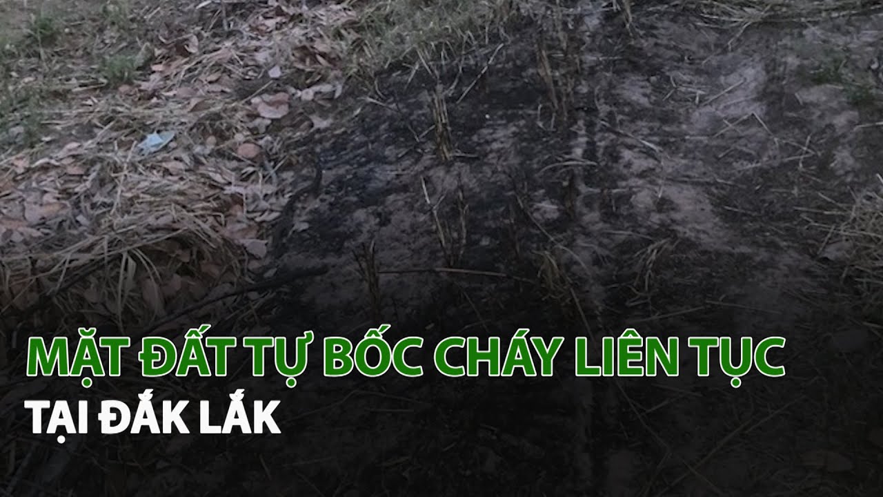 Mặt Đất tự bốc cháy liên tục tại Đắk Lắk | VTC14