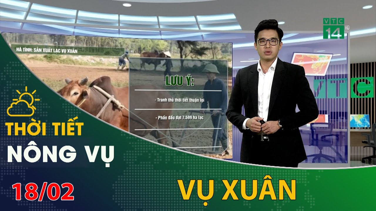 Thời tiết nông vụ 18/02/2024: Sản xuất lạc vụ xuân tại Hà Tĩnh | VTC14