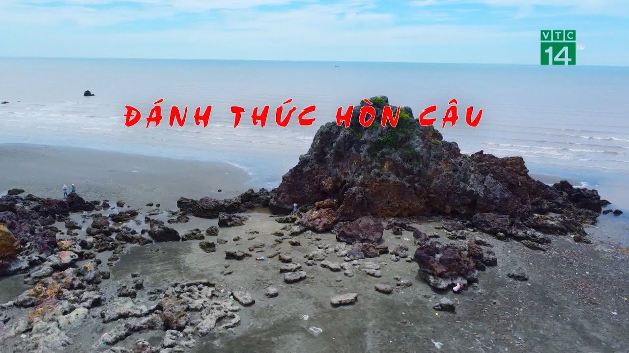 Đánh thức Hòn Câu  | VTC14