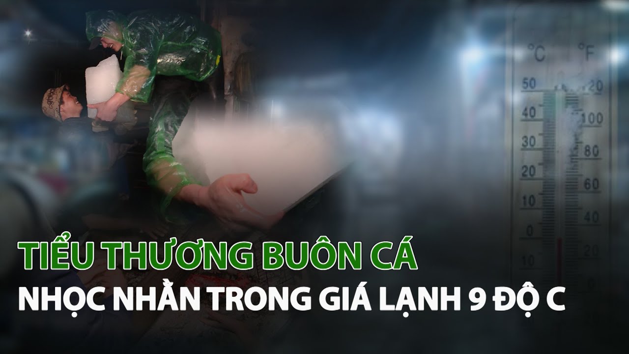 Tiểu Thương Buôn Cá nhọc nhằn trong Giá Lạnh 9 độ C| VTC14