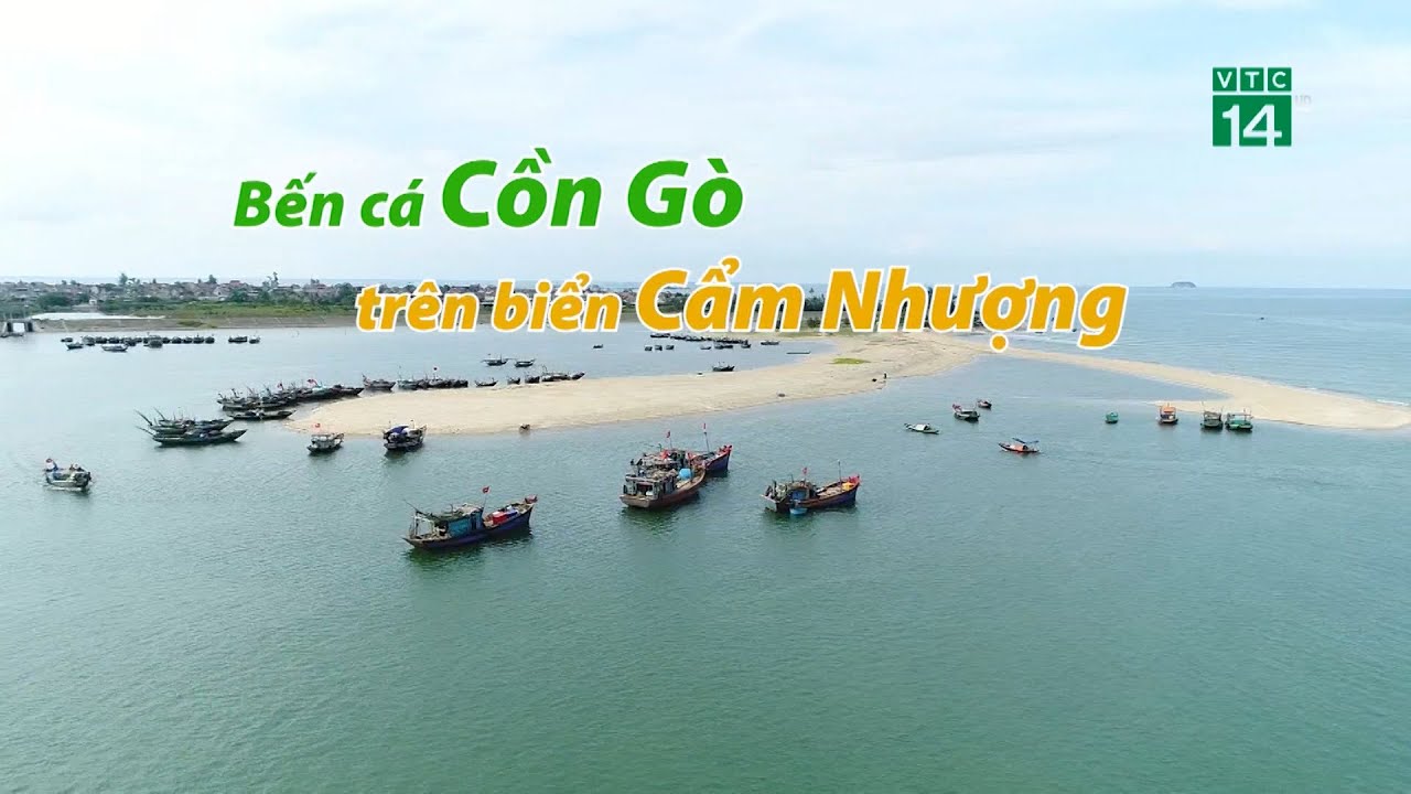 Bến Cá Cồn Gò trên Biển Cẩm Nhượng| VTC14