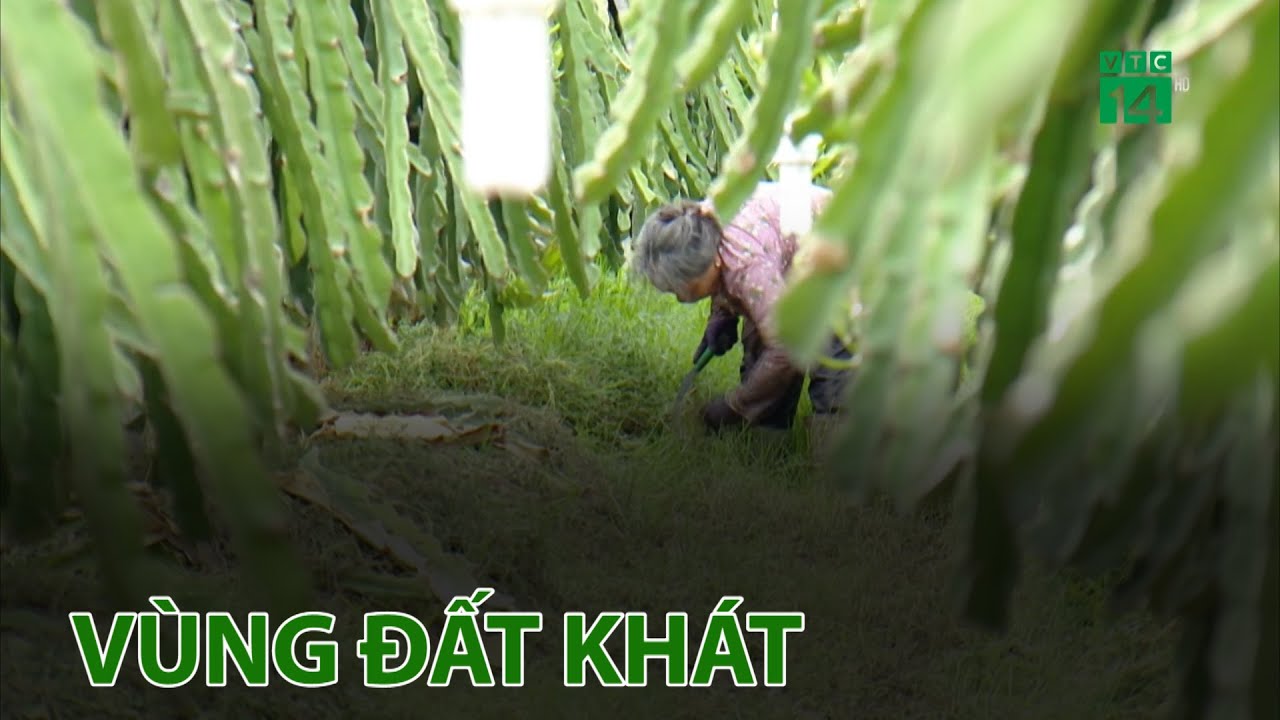 Vùng đất khát | VTC14