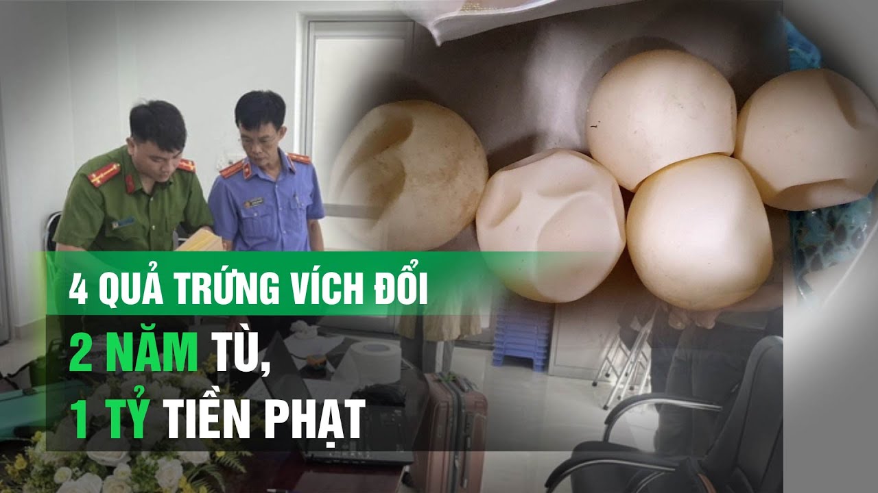 Mua bán 4 quả trứng vích, 2 người bị phạt tù, 2 người bị phạt 1 tỉ đồng| VTC14