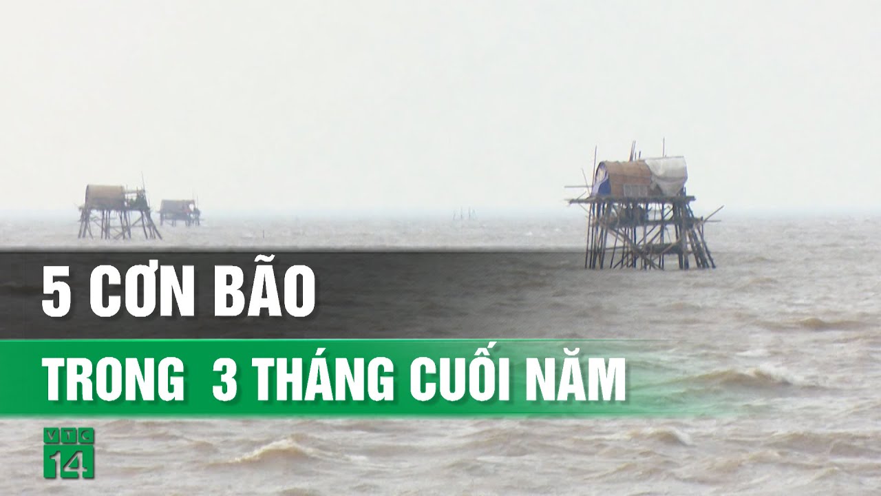 Biển Đông có thể xuất hiện 5 cơn bão trong ba tháng cuối năm| VTC14