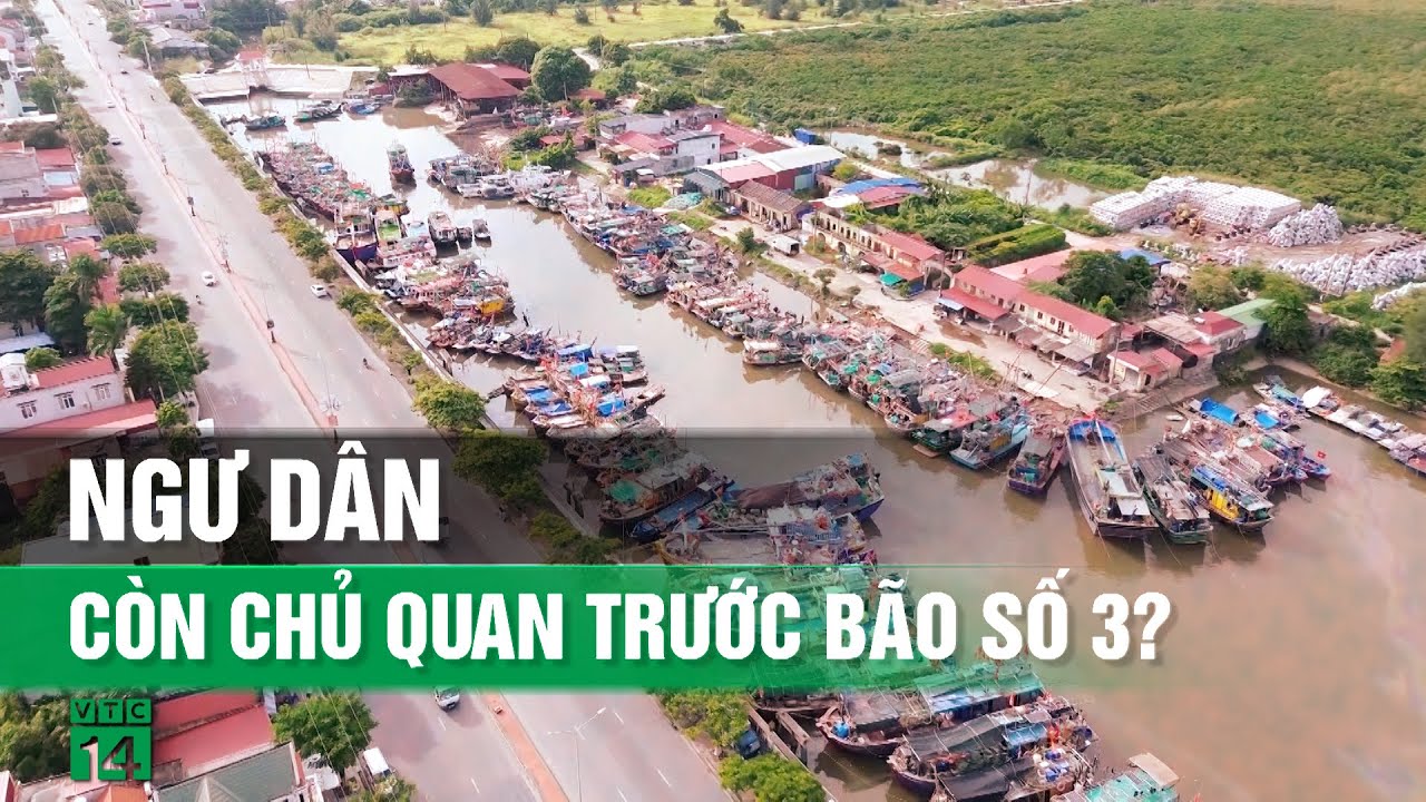 Ngư dân Hải Phòng còn chủ quan trước cơn bão mạnh nhất 30 năm qua trên biển Đông| VTC14