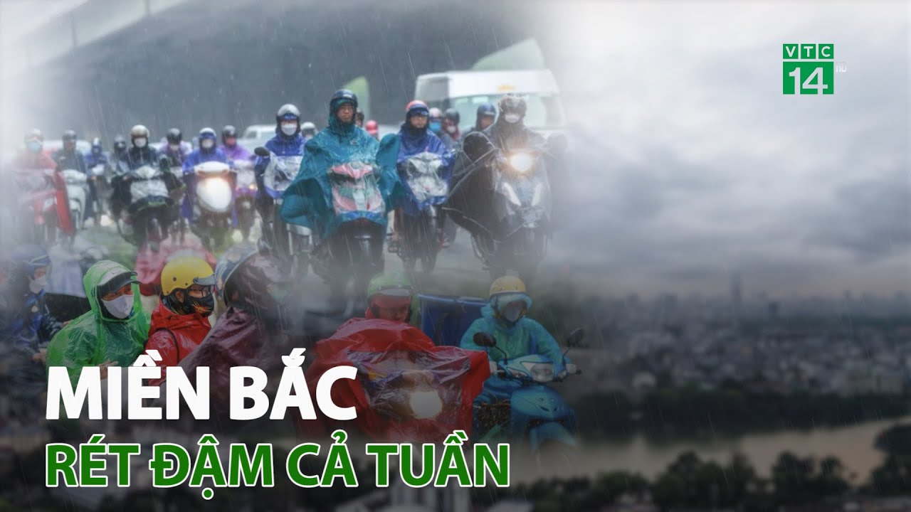 Miền Bắc rét đậm cả tuần | VTC14