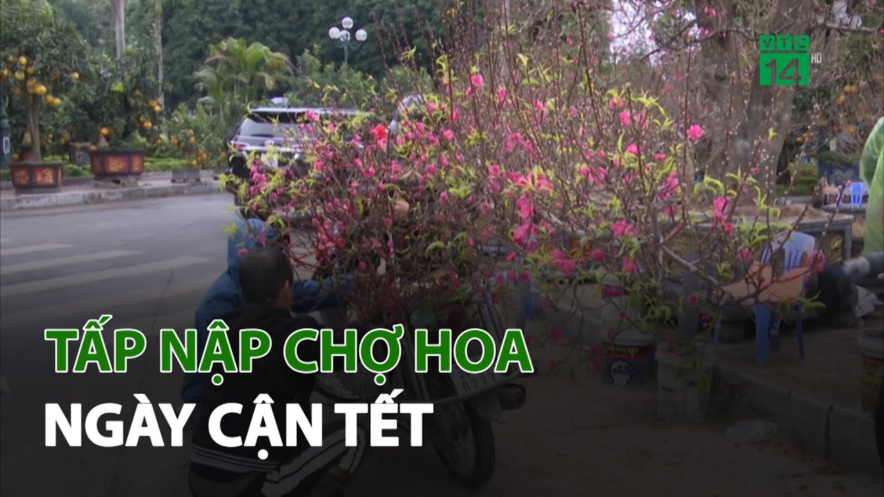 Tấp nập chợ hoa ngày cận Tết | VTC14