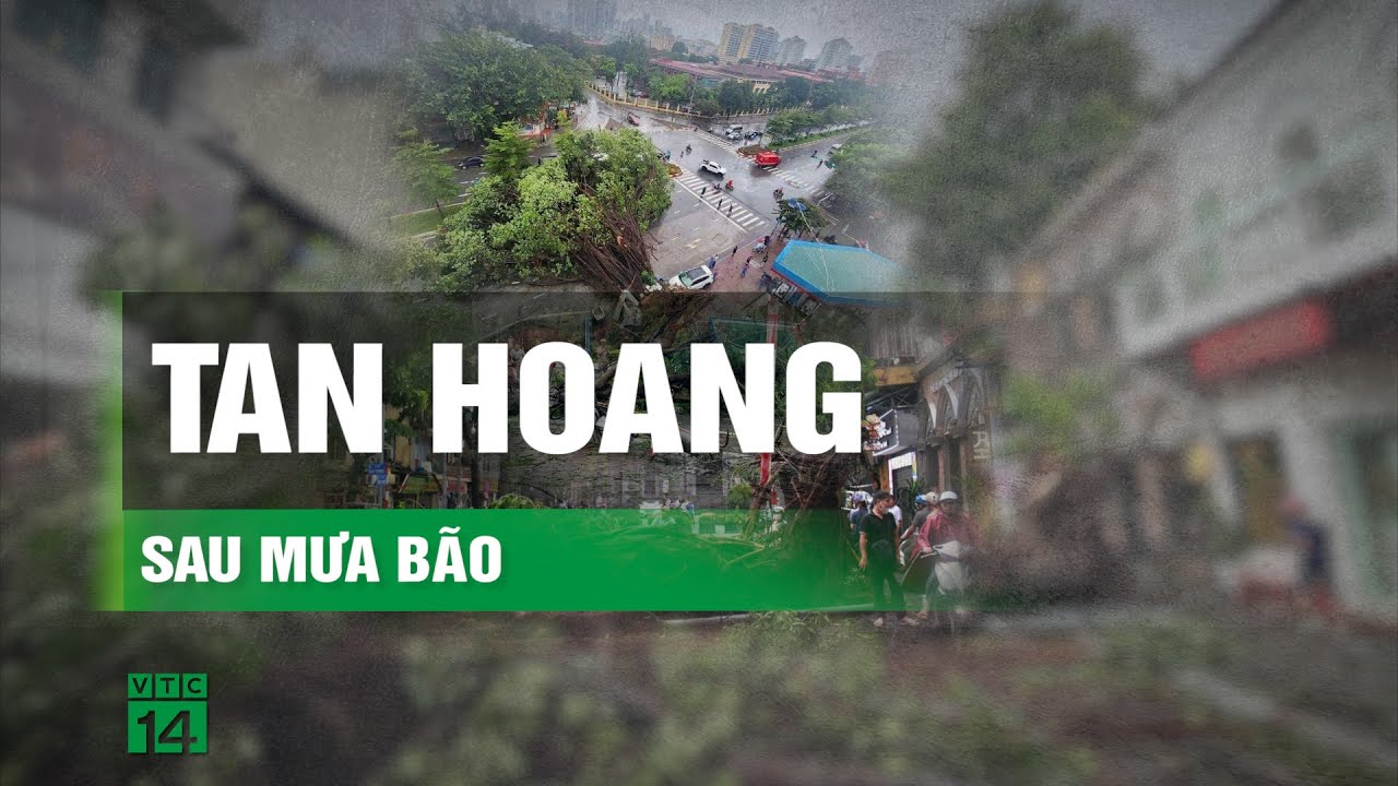 Phố phường Hà Nội tan hoang sau mưa bão | VTC14