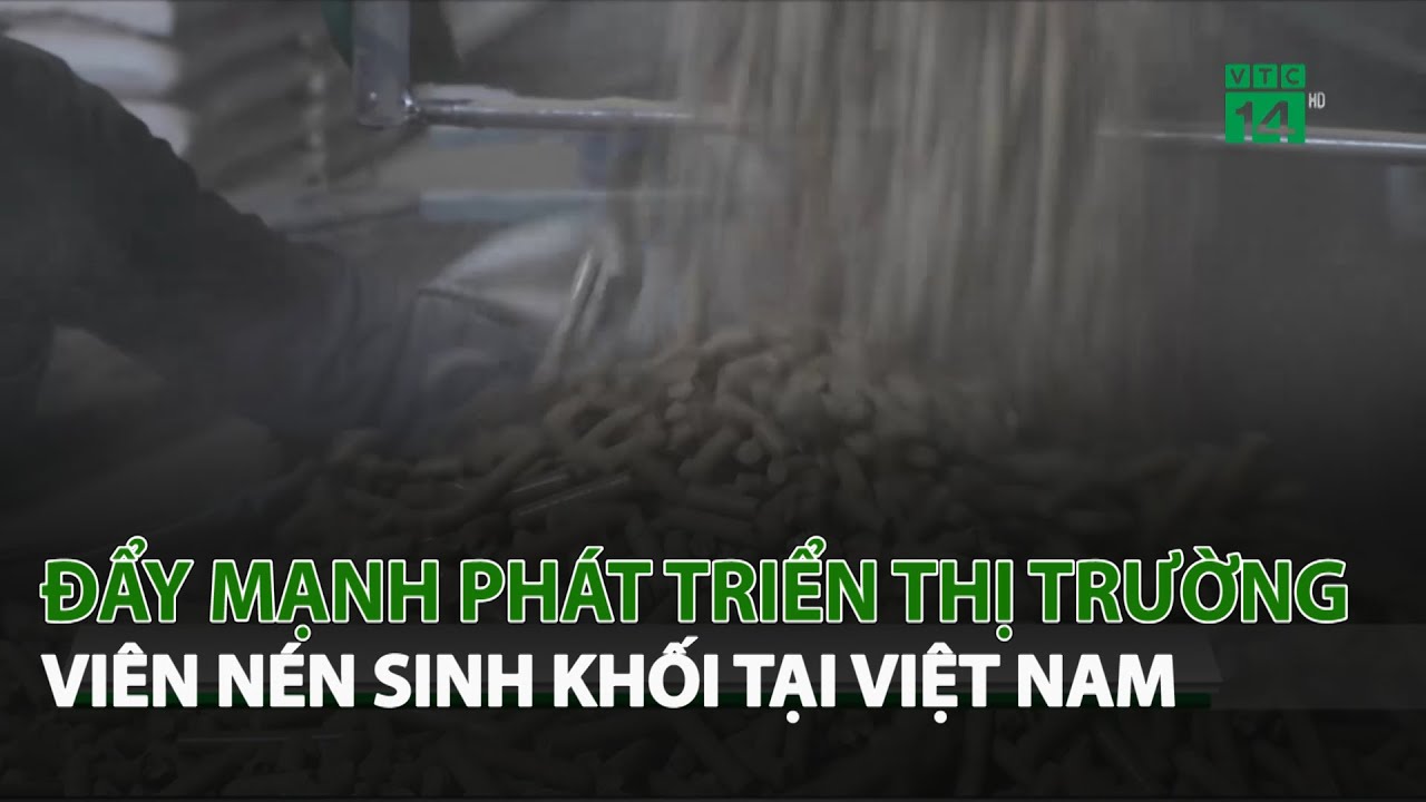 Đẩy mạnh phát triển thị trường Viên Nén Sinh Khối tại Việt Nam| VTC14