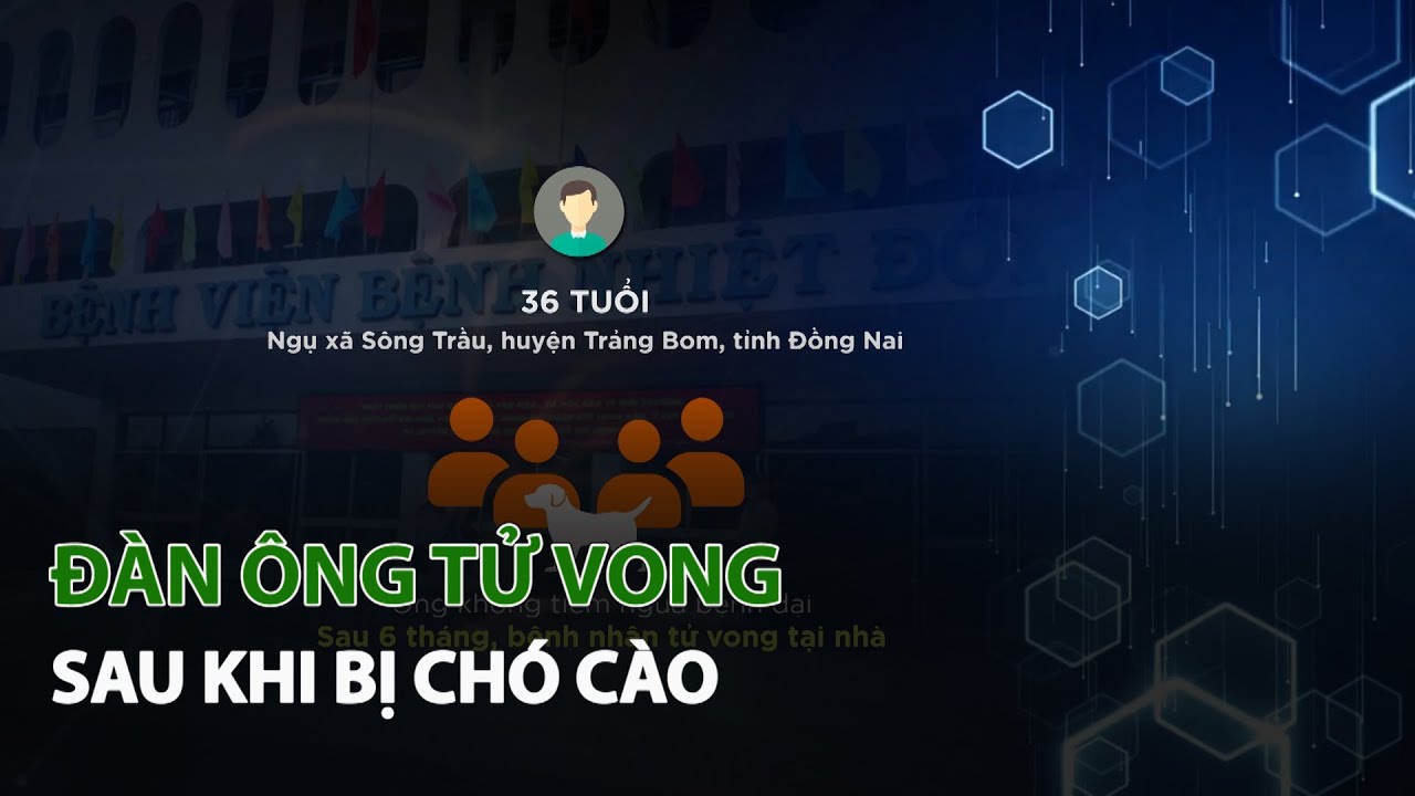 Đàn Ông tử vong sau khi bị Chó cào | VTC14