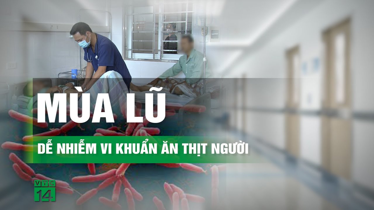 Vì sao số người nhiễm “vi khuẩn ăn thịt người” tăng cao trong mùa mưa lũ?   | VTC14