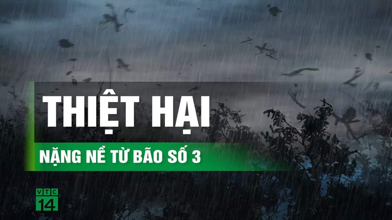 14 người chết, 176 người bị thương do bão số 3 | VTC14