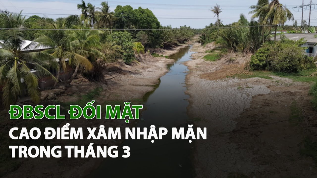 ĐBSCL đối mặt cao điểm Xâm Nhập Mặn trong tháng 3| VTC14