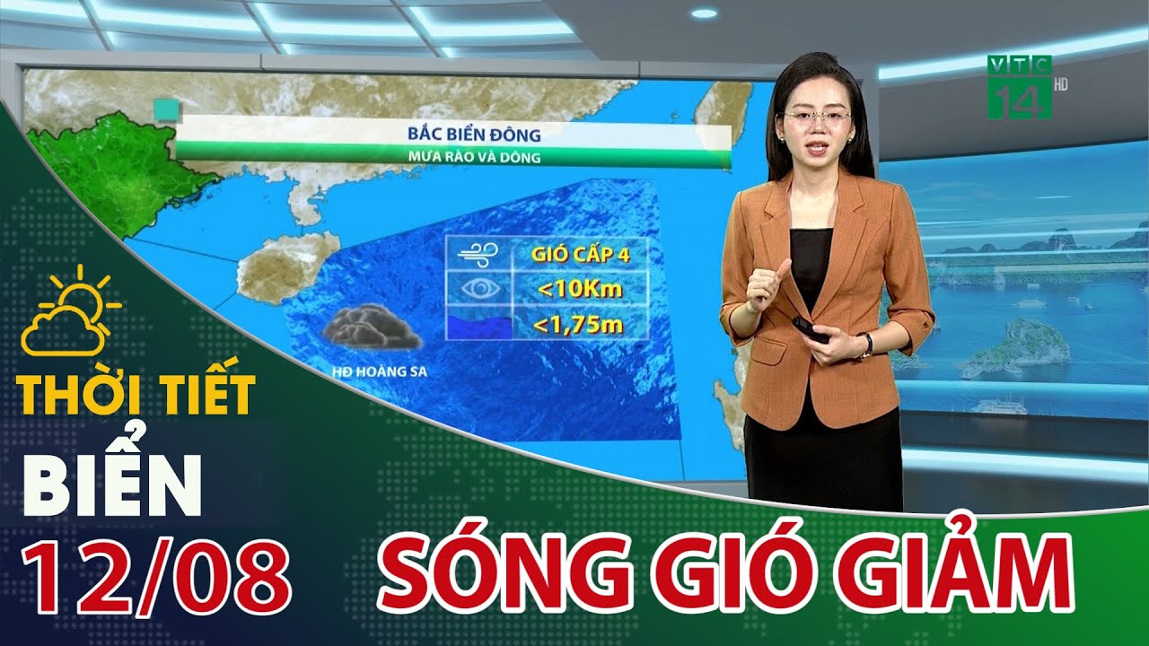 Sóng gió giảm dần, biển động nhẹ | VTC14