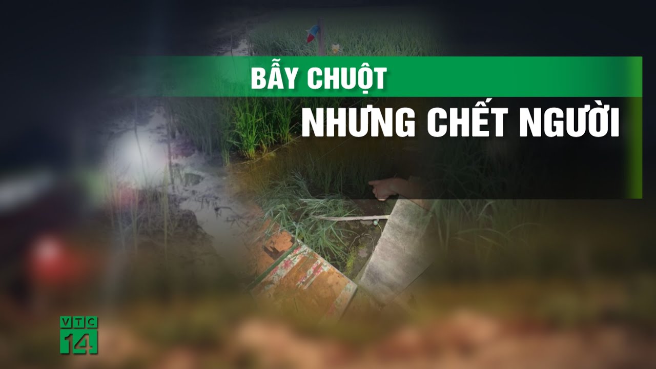 Bẫy chuột gây c.h.ế.t người ở Hải Phòng | VTC14