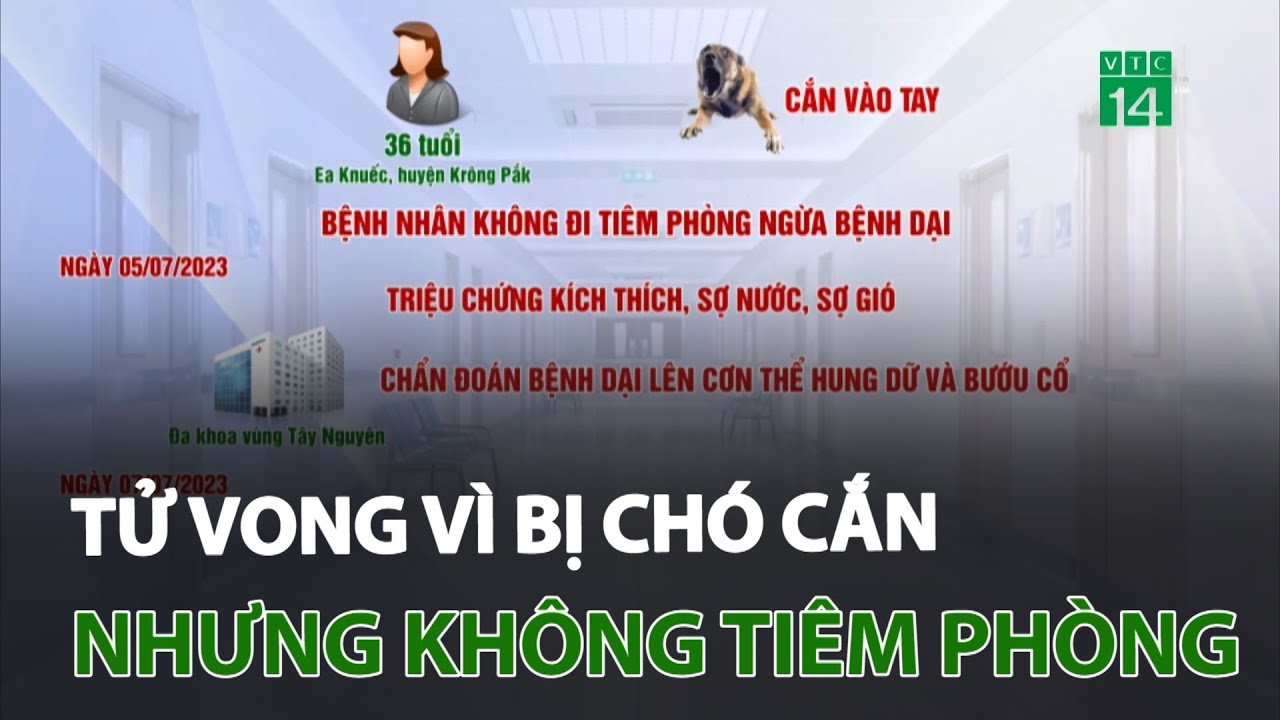 Tử vong vì bị chó cắn vào tay nhưng không tiêm phòng | VTC14