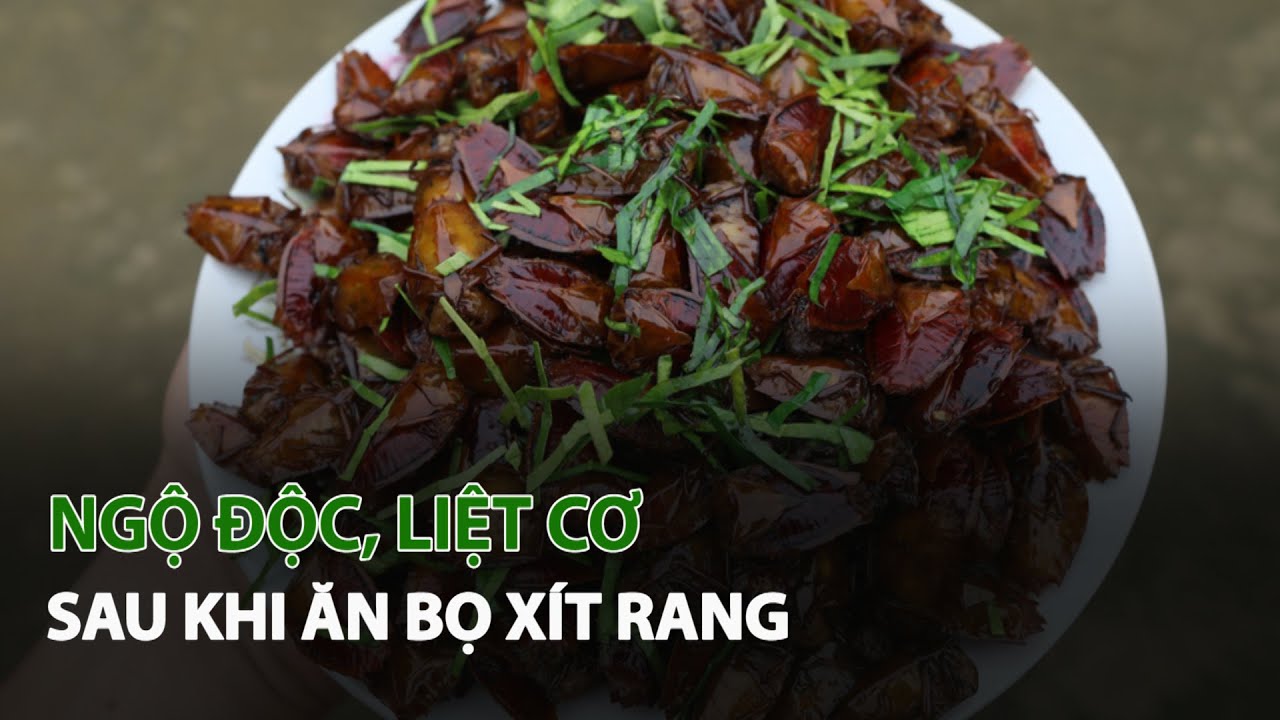 Ngộ Độc, Liệt Cơ sau khi ăn Bọ Xít rang| VTC14