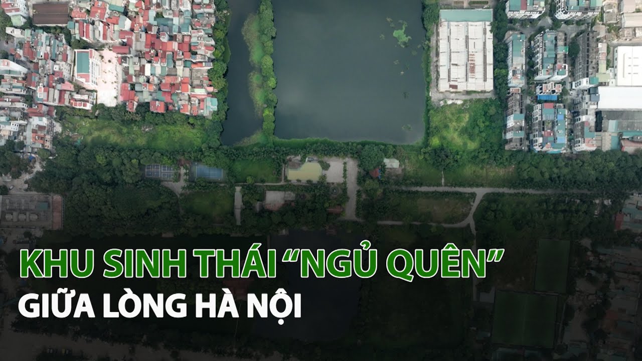 Khu Sinh Thái “Ngủ quên” giữa lòng Hà Nội| VTC14