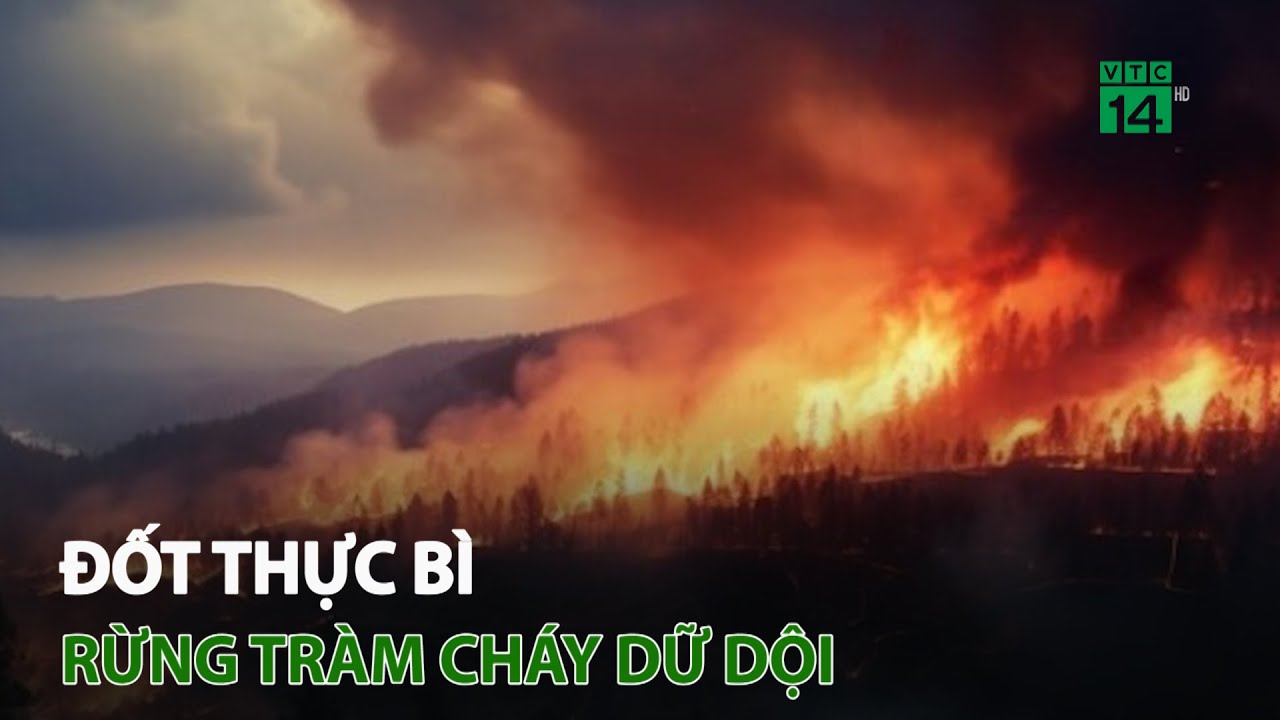 Thừa Thiên - Huế: Nỗ lực chữa cháy rừng trong đêm tại Lăng Cô | VTC14