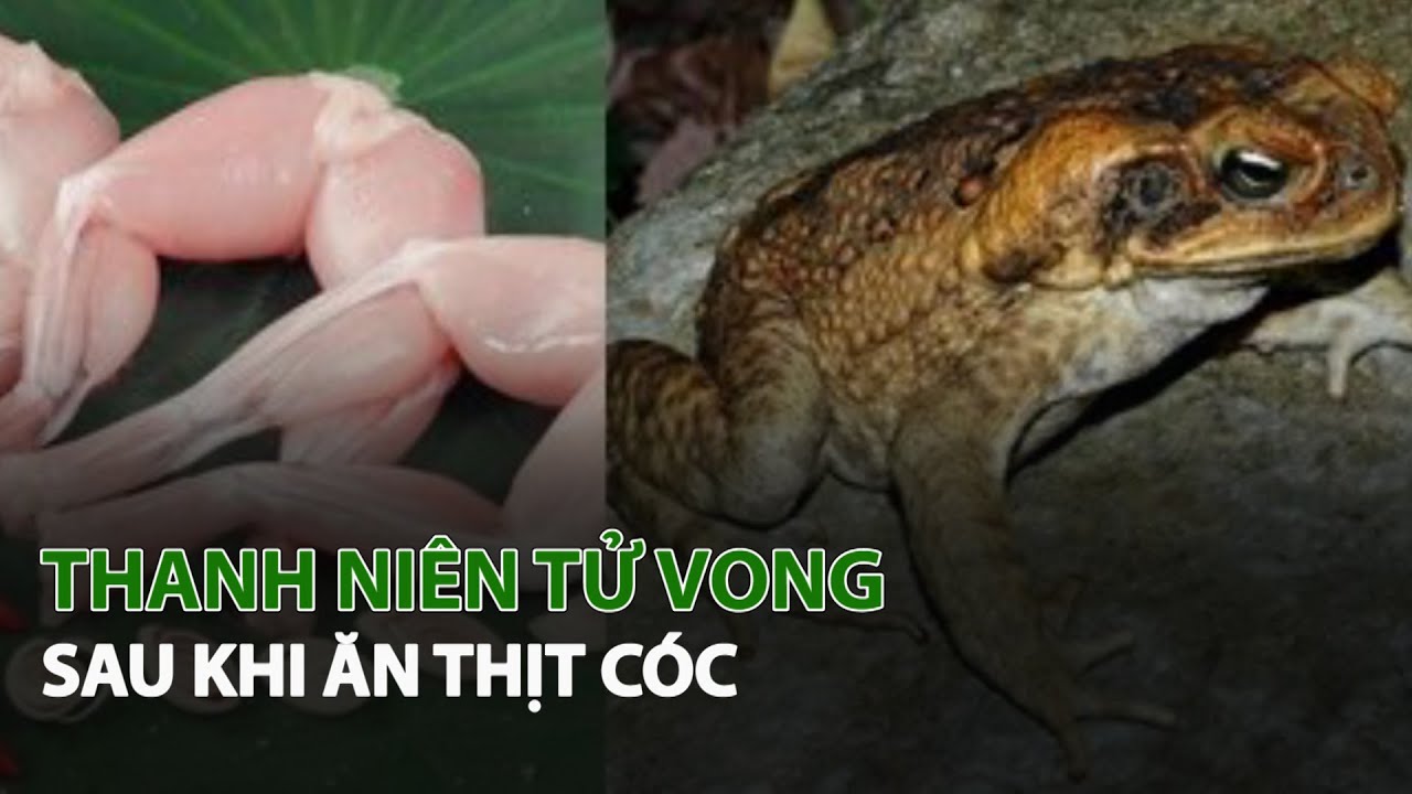 Thanh niên tử vong sau khi ăn Thịt Cóc| VTC14