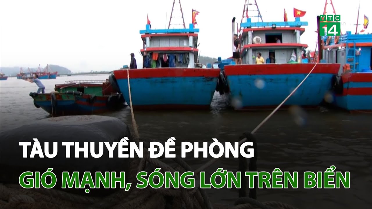 Tàu thuyền đề phòng gió mạnh, sóng lớn trên biển | VTC14