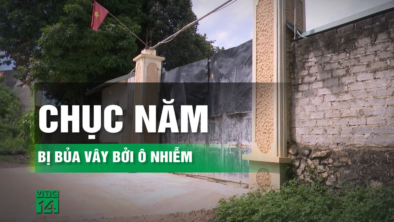 Trại lợn gây ô nhiễm nhiều năm, chính quyền xử lý kiểu “bắt cóc bỏ đĩa”?| VTC14