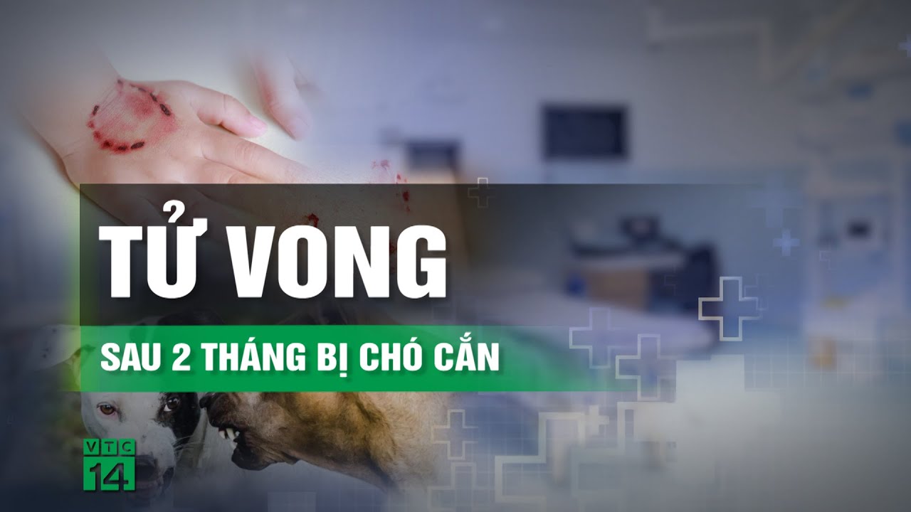 Người đàn ông tử vong sau 2 tháng bị chó cắn | VTC14