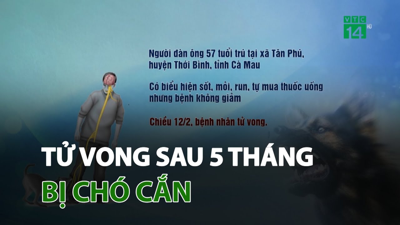 Người đàn ông ở Cà Mau tử vong sau 5 tháng bị chó cắn  | VTC14