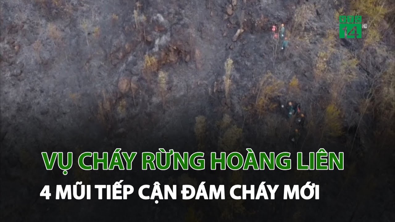 Cháy rừng Hoàng Liên: 4 mũi tiếp cận đám cháy mới hướng Lai Châu | VTC14