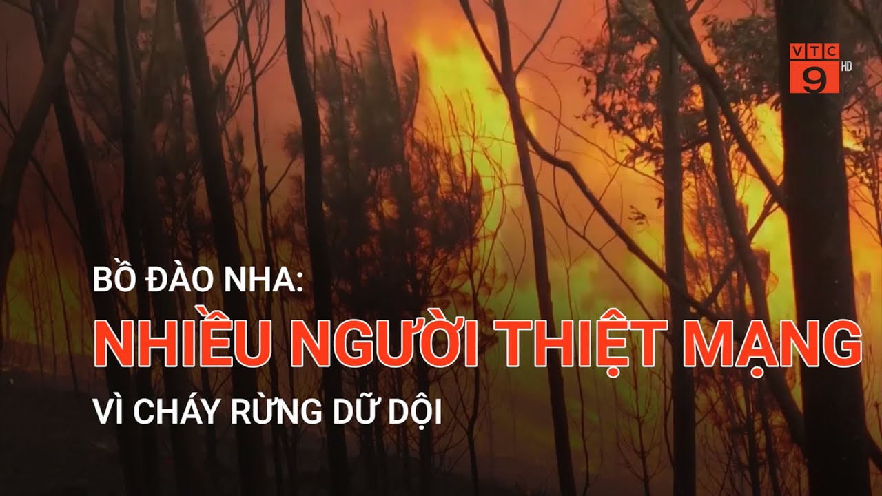 BỒ ĐÀO NHA: NHIỀU NGƯỜI THIỆT MẠNG VÌ CHÁY RỪNG DỮ DỘI | VTC9