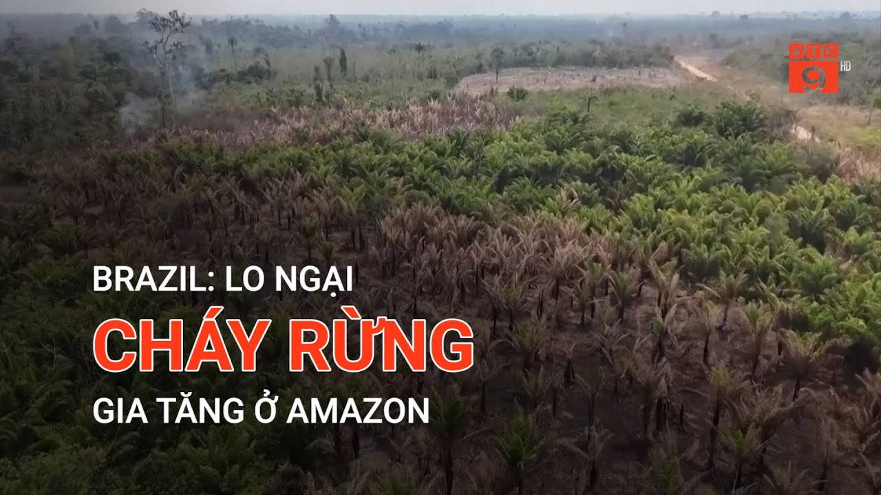 BRAZIL: LO NGẠI CHÁY RỪNG GIA TĂNG Ở AMAZON  | VTC9