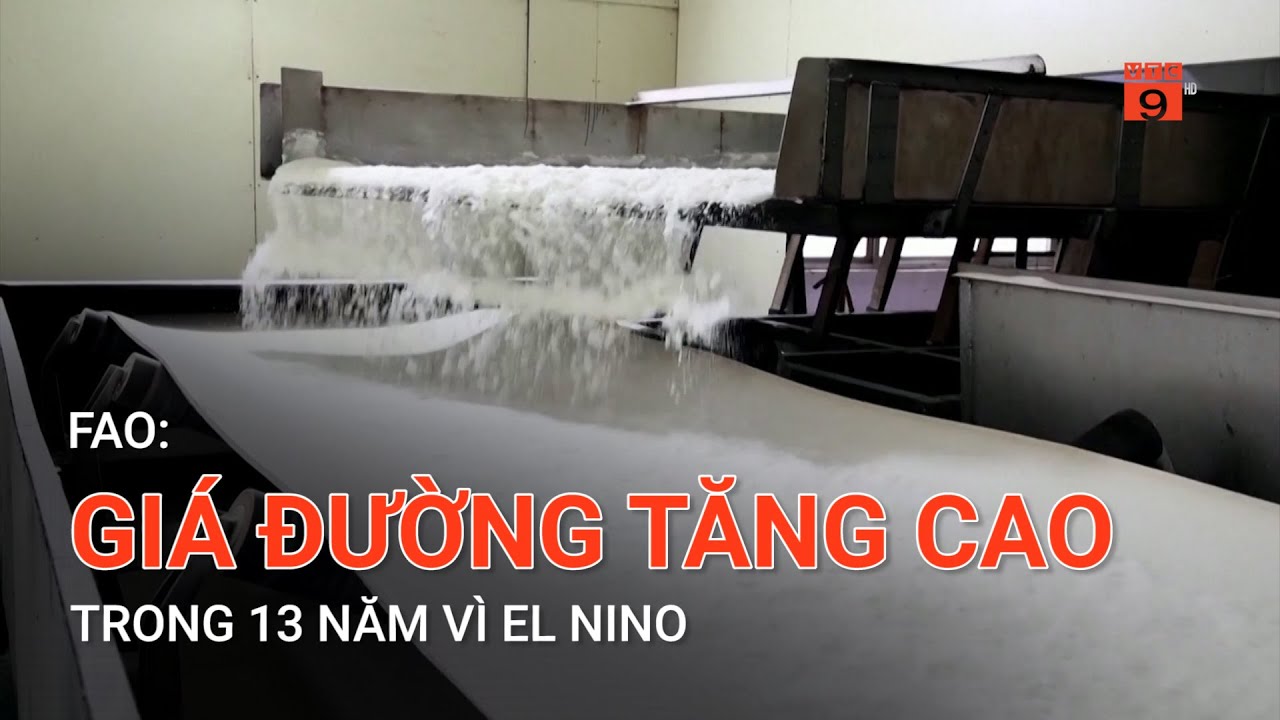 FAO: GIÁ ĐƯỜNG TĂNG CAO NHẤT TRONG 13 NĂM VÌ EL NINO | VTC9