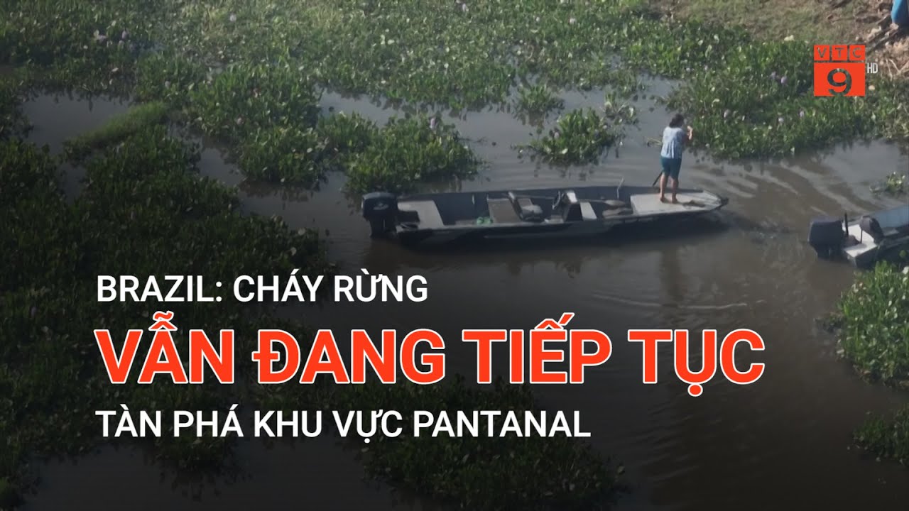 BRAZIL: CHÁY RỪNG VẪN ĐANG TIẾP TỤC TÀN PHÁ KHU VỰC PANTANAL | VTC9