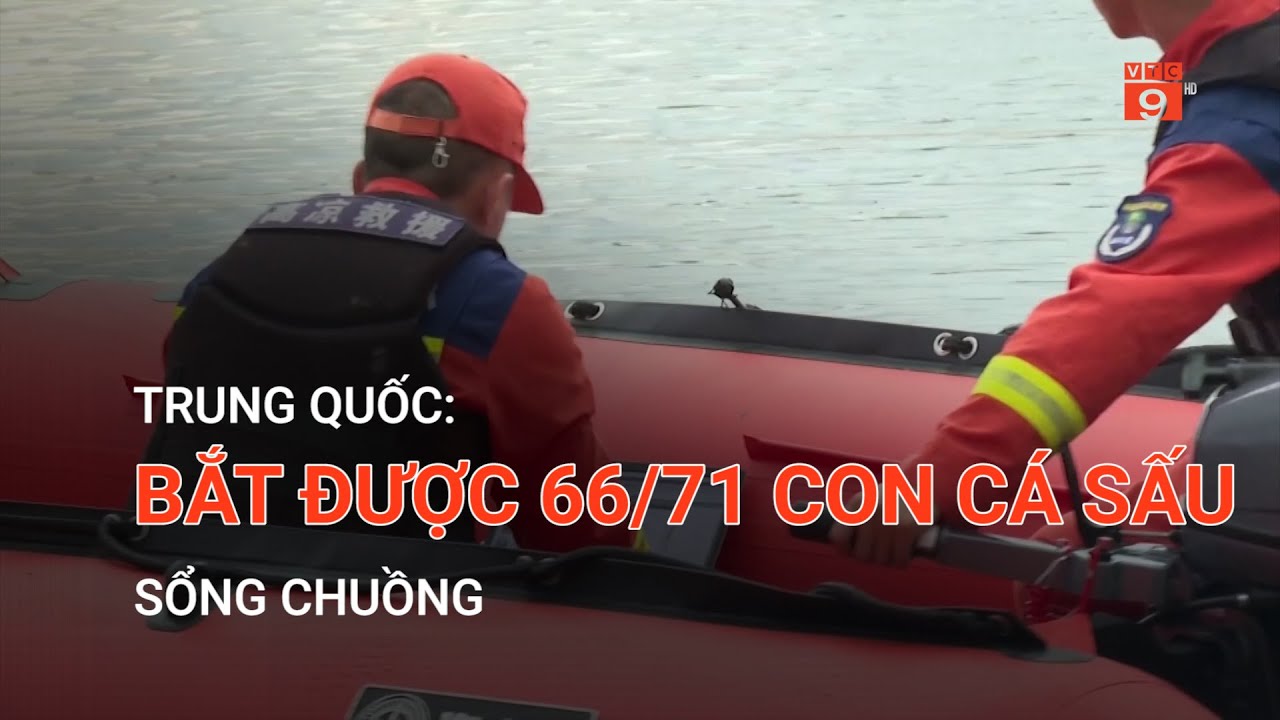 TRUNG QUỐC: BẮT ĐƯỢC 66/71 CON CÁ SẤU SỔNG CHUỒNG  | VTC9