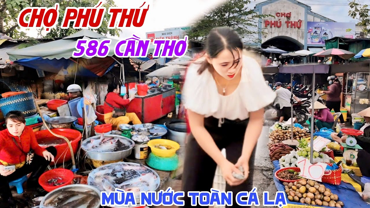 Mùa Nước CÁ LẠ LÊN BỜ Tại CHỢ PHÚ THỨ CẦN THƠ NGỠ NGÀNG KHU CHỢ TRỜI “BIẾN MẤT” CÁ SÔNG ĐẦY CHỢ KPVL