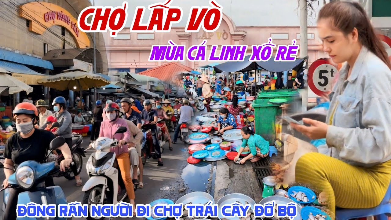 Cá Linh XỔ RẺ MÙA NƯỚC NỔI 2024 Tại CHỢ LẤP VÒ ĐỒNG THÁP - Trái Cây Đổ Bộ BÀ CON ĐI CHỢ TẤP NẬP KPVL