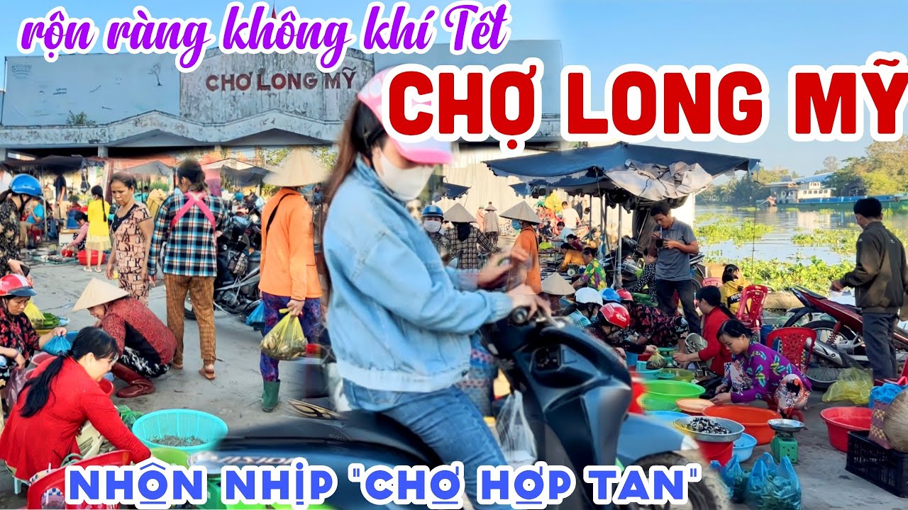 Rộn Ràng Đèn Hoa BÁNH MỨT TẾT 2024 Tại CHỢ LONG MỸ, HẬU GIANG - Quá Vui Khu CHỢ “HỢP TAN”  | KPVL