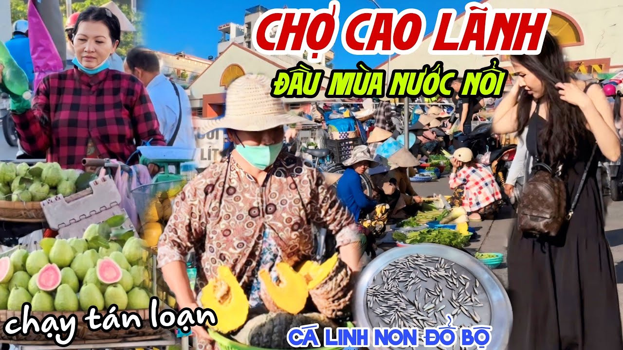 Náo Loạn BÀ CON CHẠY “VẮT GIÒ LÊN CỔ” Tại CHỢ CAO LÃNH, ĐỒNG THÁP - Mùa Lũ Cá Linh Non ĐỔ BỘ KPVL