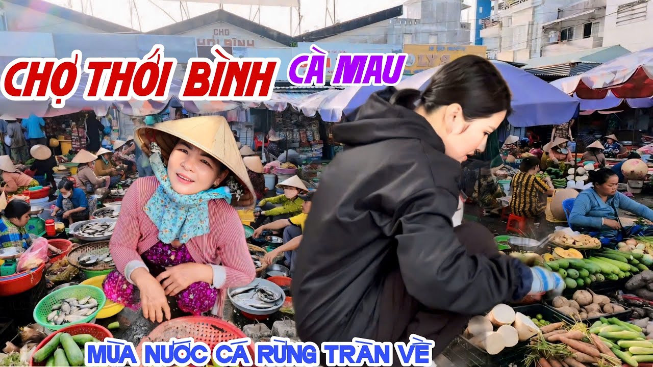 Quá Vui CHỢ THỚI BÌNH CÀ MAU Mùa Nước Tràn Về CÁ RỪNG ĐẦY CHỢ, Bà Con Bán Đắt Như Tôm Tươi | KPVL